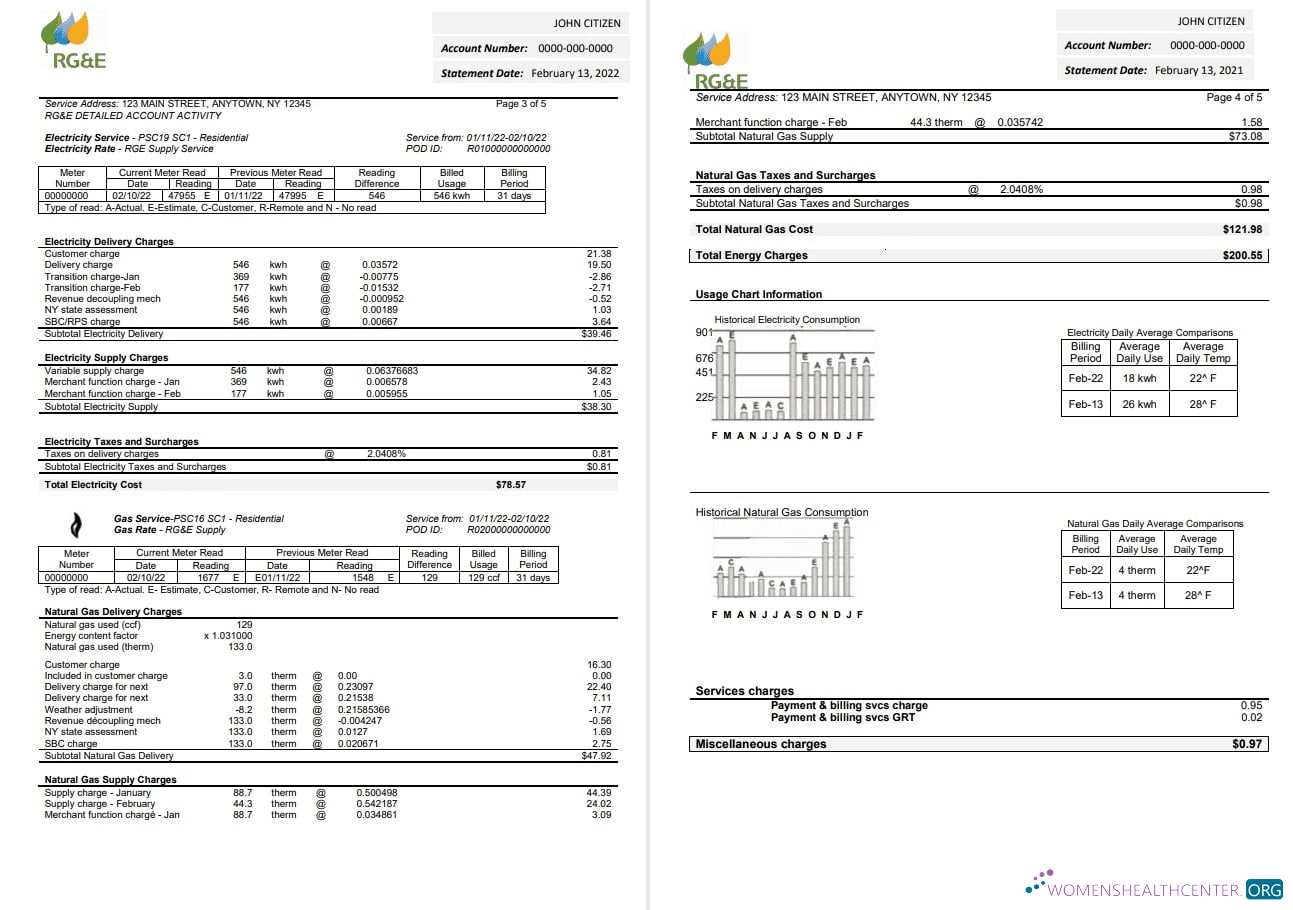download download USA RG&E utility bill template in Word and PDF format (2 pages) 3 4 PDF template PDF template